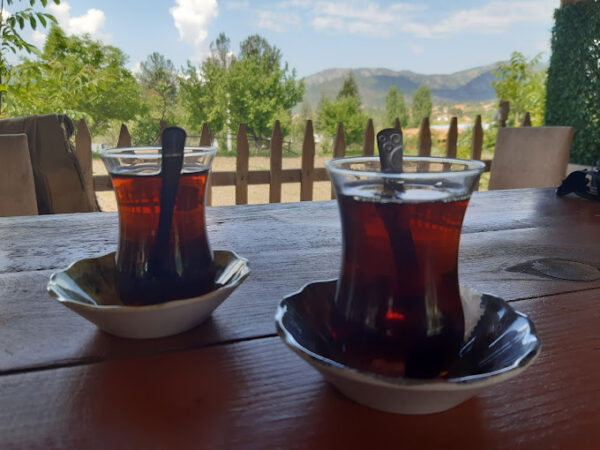 Çay molasına hoşgeldiniz